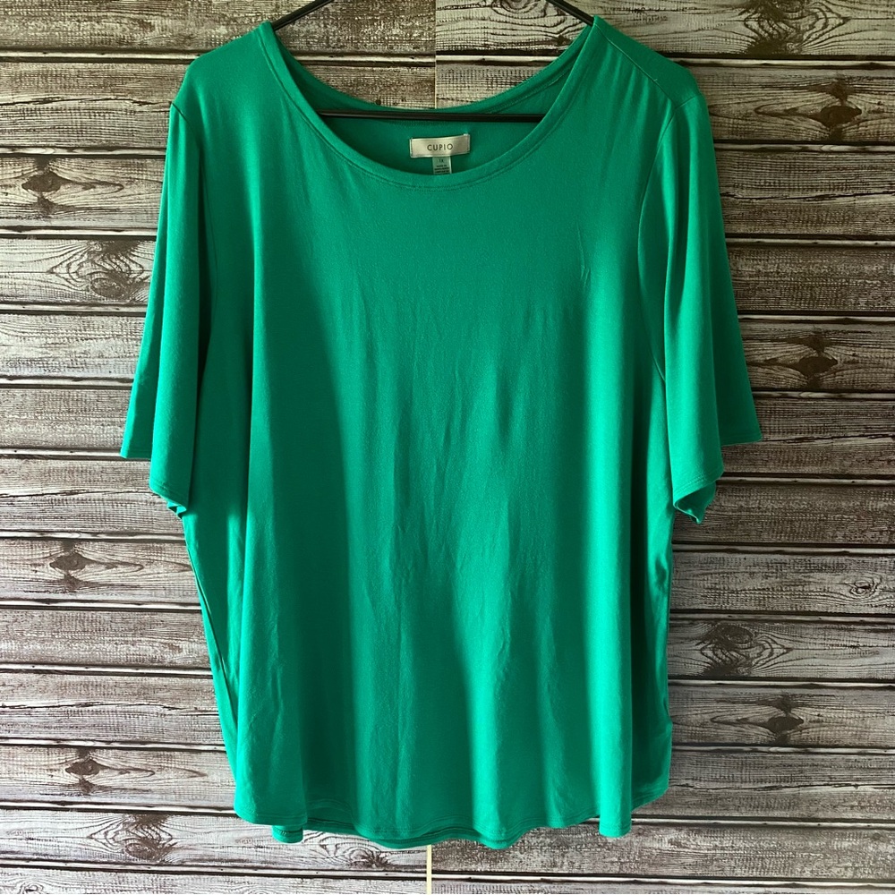 NWT Cupio Short-Sleeved Top Size 1X